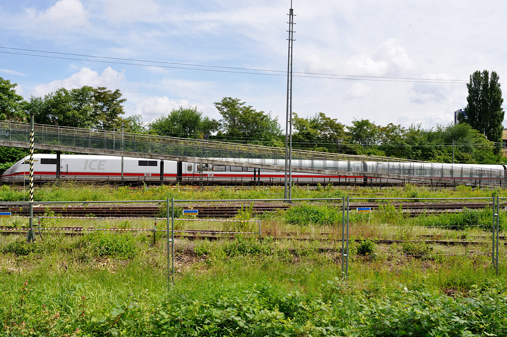 DSC_0116.jpg