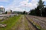 DSC_0020.jpg