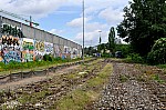 DSC_0039.jpg