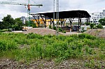 DSC_0066.jpg
