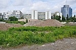 DSC_0069.jpg