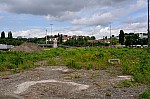 DSC_0072.jpg
