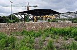 DSC_0087.jpg