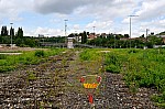 DSC_0091.jpg