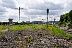 DSC_0113.jpg
