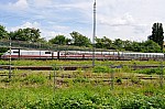 DSC_0116.jpg