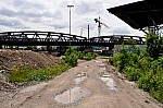DSC_0146.jpg