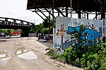 DSC_0148.jpg