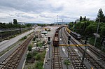 DSC_7453.JPG