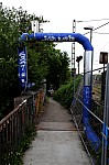 DSC_7460.JPG