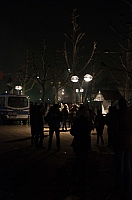 DSC_5463.jpg