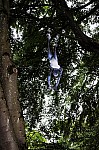 DSC_6916.jpg
