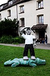 DSC_6926.jpg