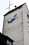 DSC_6927.jpg