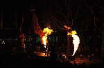 DSC_3856.JPG