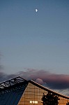 DSC_2402.jpg