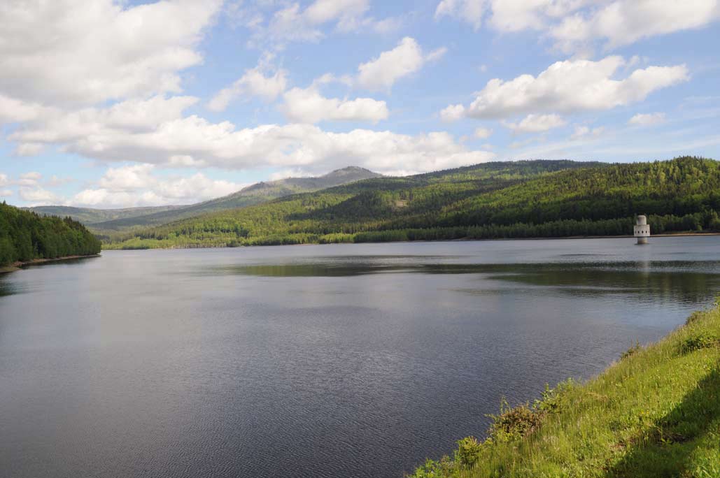 DSC_0537.jpg