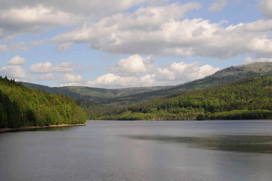 DSC_0538.jpg