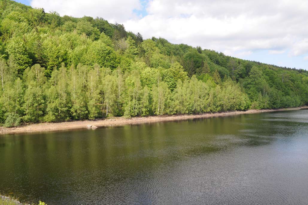 DSC_0541.jpg