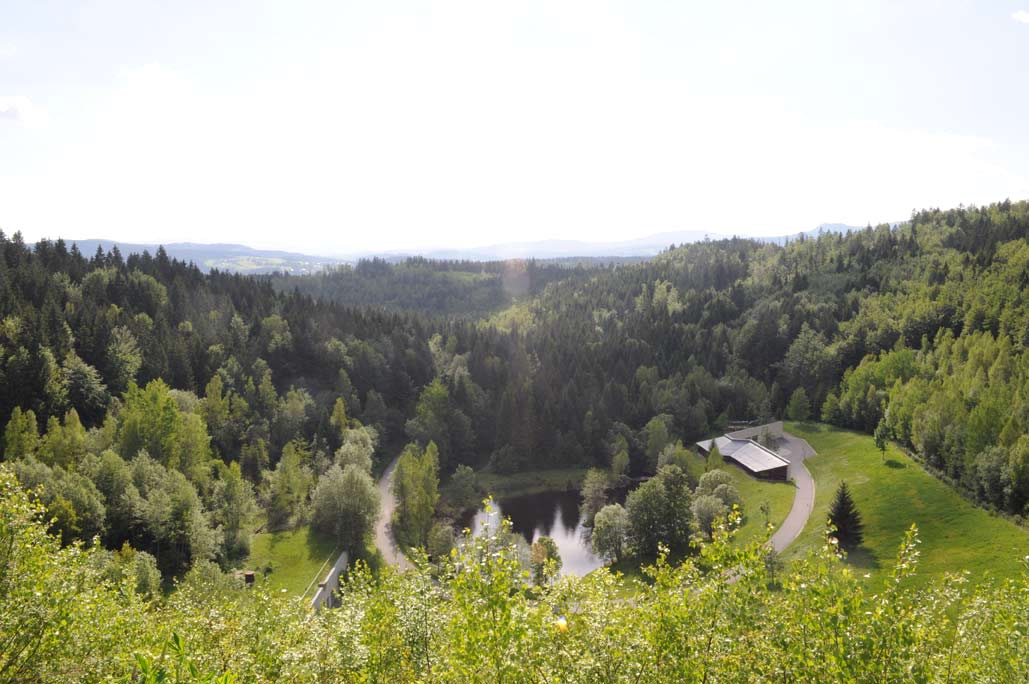 DSC_0545.jpg