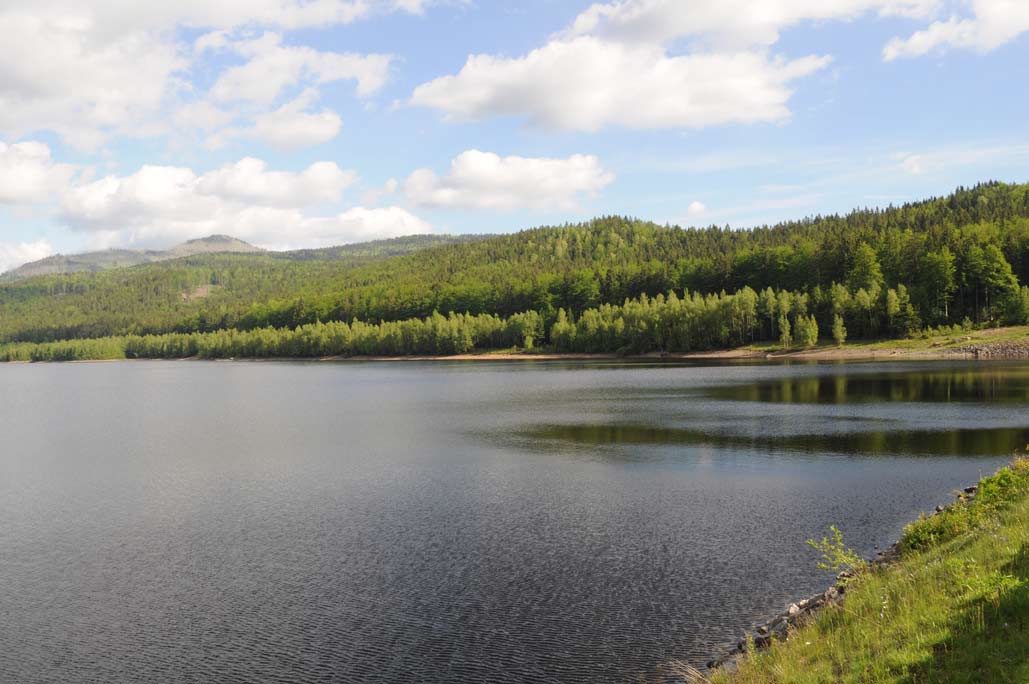 DSC_0555.jpg