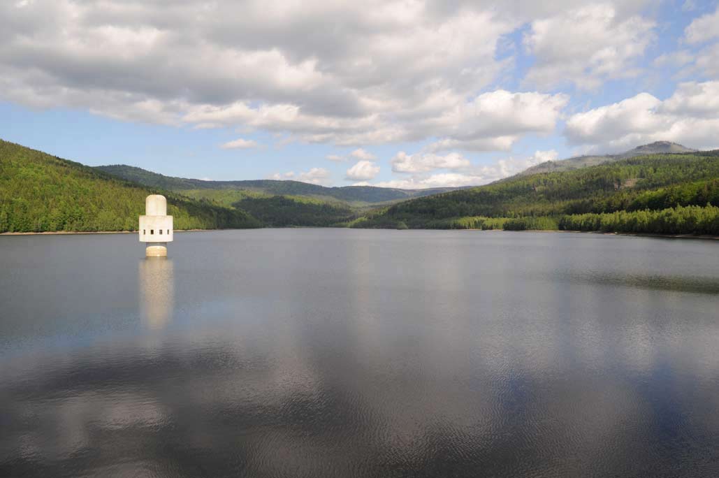 DSC_0556.jpg