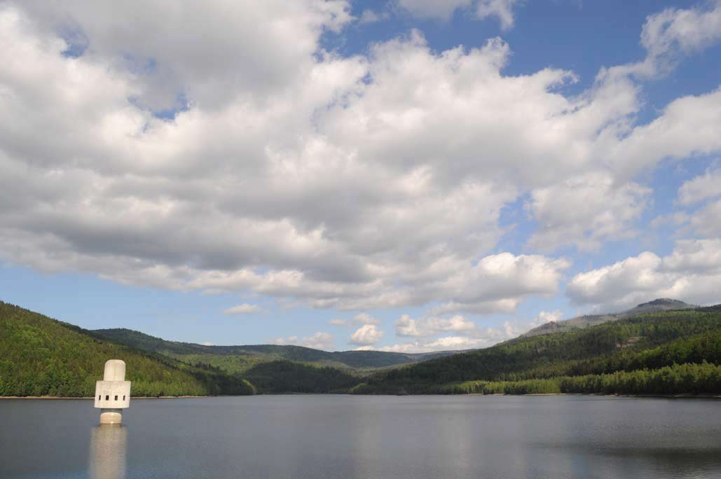 DSC_0557.jpg
