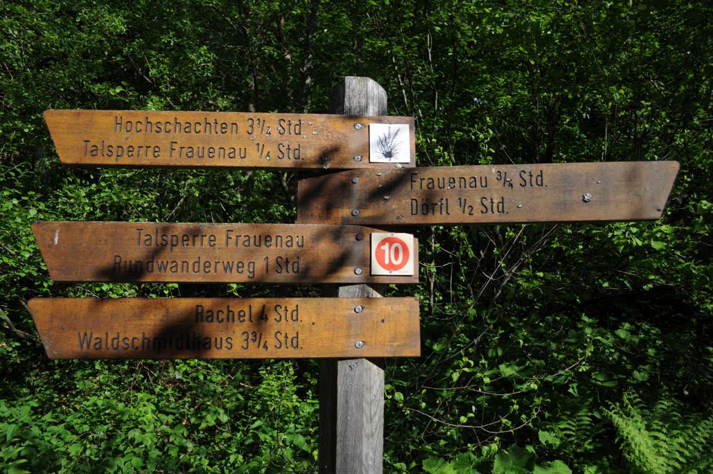 DSC_0577.jpg