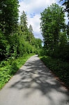 DSC_0532.jpg