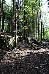 DSC_0576.jpg