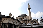 DSC_0077.jpg