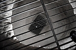 DSC_0125.jpg