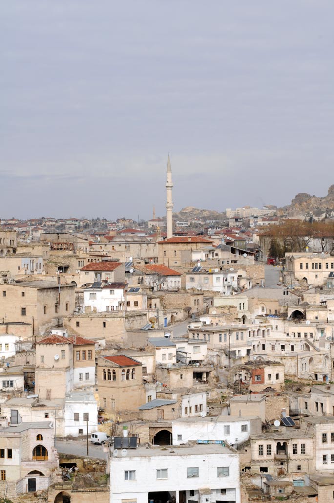 DSC_0155.jpg