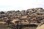 DSC_0141.jpg