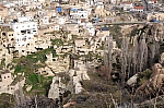 DSC_0153.jpg