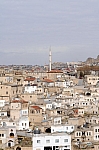 DSC_0155.jpg