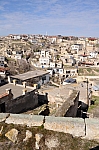 DSC_0174.jpg