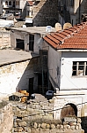 DSC_0176.jpg