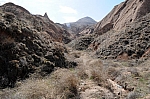 DSC_0186.jpg