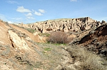 DSC_0187.jpg