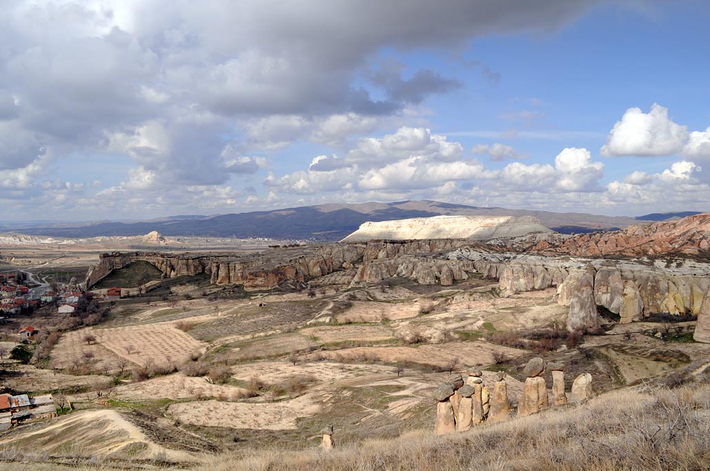 DSC_0205.jpg