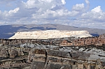 DSC_0199.jpg