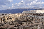 DSC_0202.jpg