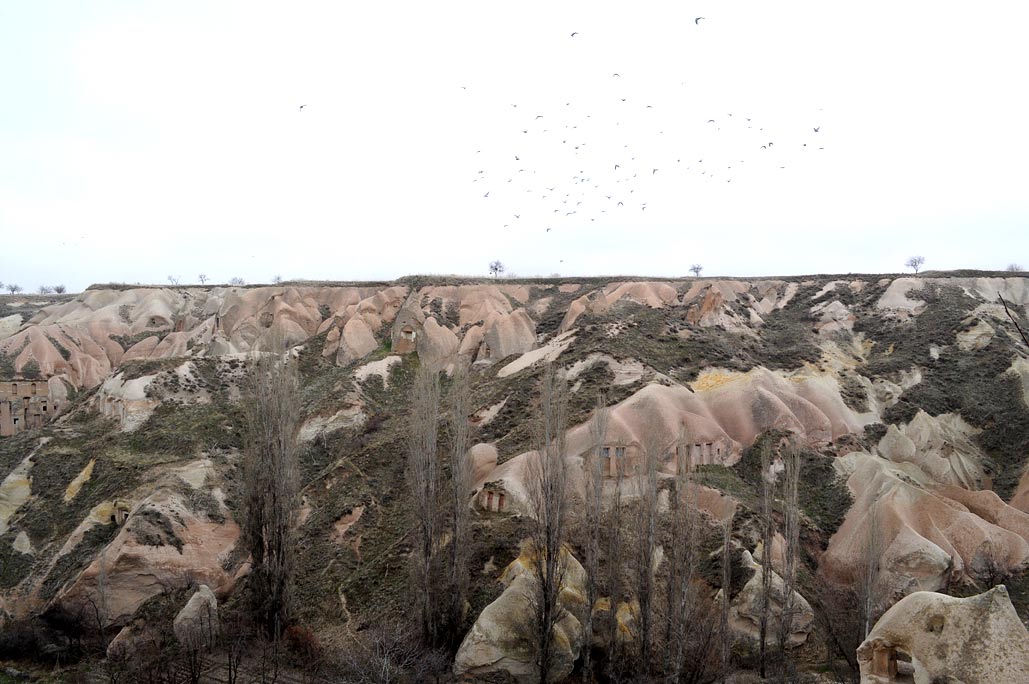DSC_0254.jpg