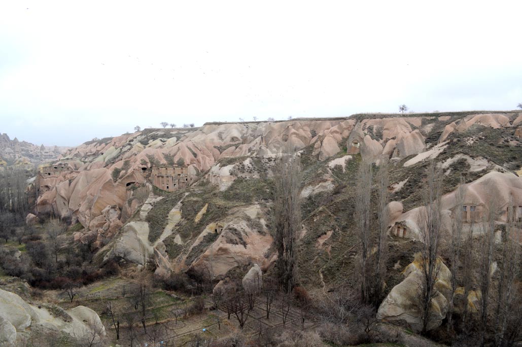 DSC_0255.jpg