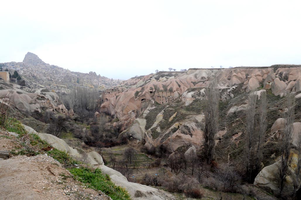 DSC_0257.jpg
