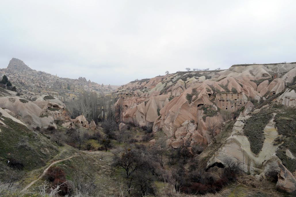 DSC_0270.jpg
