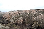 DSC_0255.jpg