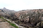 DSC_0257.jpg
