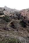 DSC_0265.jpg